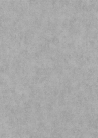 DWD Elysium behang Uni 10473-10