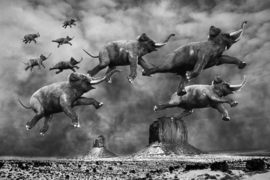 Papermoon Fotobehang Surrealistisch Vliegende Olifanten