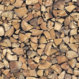 Plakplastic Firewood 45CM breed