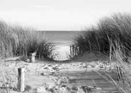 Papermoon Fotobehang Strand Duinen Zwart-Wit