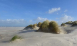 Noordwand Holland Fotobehang Schiermonnikoog Duinen 0477