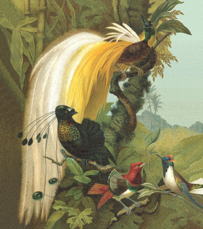 Rasch Curiosity Wall Panel Feathered Oil Painting 543780