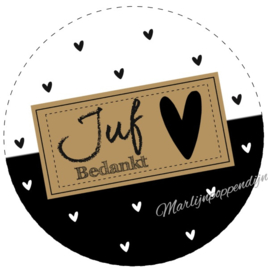 Spiegeltje met tekst ''Juf bedankt''. 56mm.