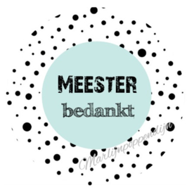 Sticker met tekst ''Meester bedankt'' 6 cm doorsnee mint.