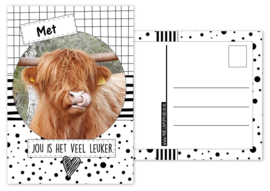 A6 Kaart met afbeelding hooglander met tekst ''Met jou is het veel leuker''.