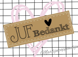 Sticker met tekst ''juf bedankt'' ongeveer 6 bij 8 cm.