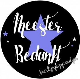 Sticker meester bedankt 6 cm doorsnee