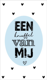 Kaartje met tekst ''een knuffel van mij'' 5 bij 8.5 cm.