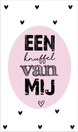 Kaartje met tekst ''een knuffel van mij'' 5 bij 8.5 cm.