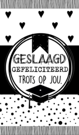 Geslaagd.