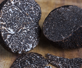 Zwarte Truffel uit Zuid Amerika
