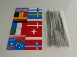 Vlaggenset (kaart en vlaggenstokken)
