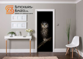 Deursticker grote uil front