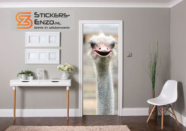 Deursticker struisvogel
