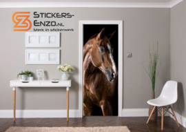 Deursticker elegant paard