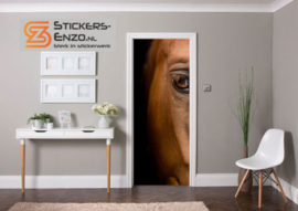 Deursticker oog paard bruin