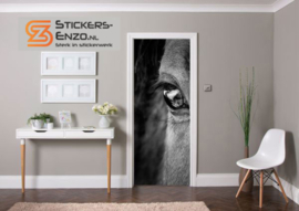 Deursticker oog paard