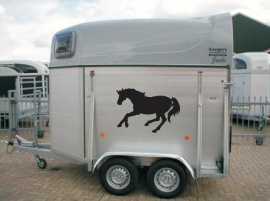 Set van twee paardenstickers 2