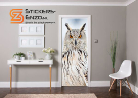Deursticker gehoornde uil