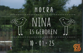 Geboorte Raamsticker 4