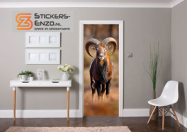 Deursticker mouflon