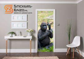 Dieren