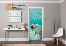 Deursticker zeehond