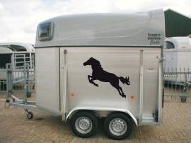 Set van twee paardenstickers 4