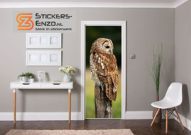 Deursticker uil op paal