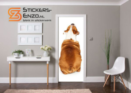 Deursticker engelse bulldog rug