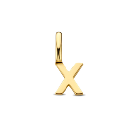 14K Geelgouden Hanger met Letter X