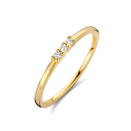 14K Geelgouden Ring met Diamanten Rij