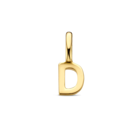 14K Geelgouden Hanger met Letter D