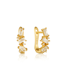 Goudkleurige Cluster Huggie Earrings van Ania Haie