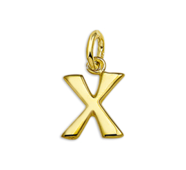 Gouden Letter Bedel Hanger – X