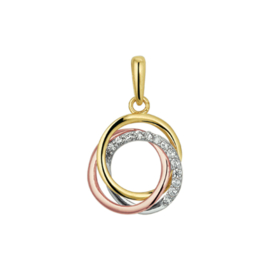 Tricolor 14 Karaat Gouden Hanger