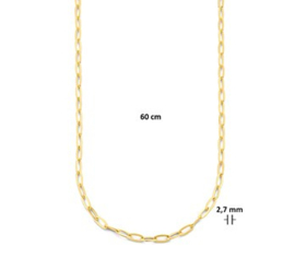 Goudkleurige Collier Paperclip Platte Buis 2,7 mm 60 cm