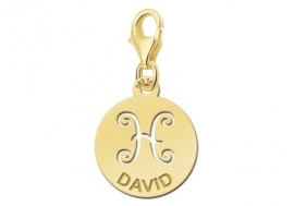 Names4ever Zodiac-Bedel Vissen in massief goud GBS012