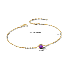 Gouden Armband met Geboortesteen Amethist 0.16ct Februari