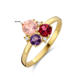 Gouden Ring met Diamanten 0.02ct h p1 en Edelstenen