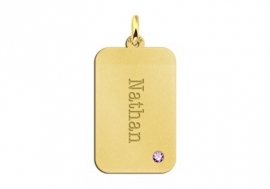 Gouden Dog Tag met Geboortesteen en Graveer Naam Names4ever