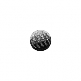 Zwarte en witte Glaskristallen muntje van MY iMenso