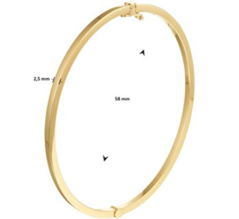 Gouden Bangle Scharnier Vlakke Buis 2,5 x 58 mm