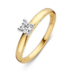 Excellent Jewelry Geelgouden Ring met Diverse Diamanten