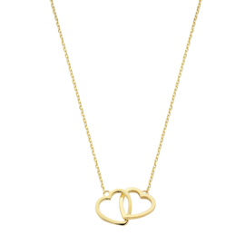 14k Geelgouden Collier met Hartjes