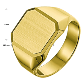 Gouden Zegelring voor Heren met Mat Gediamanteerd Vlak - Graveer Ring