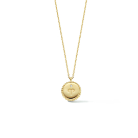 Gouden Collier met Sterrenbeeld Steenbok + Diamantje