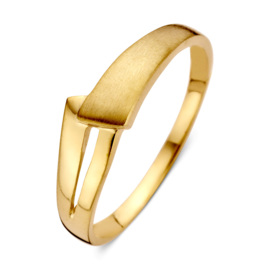 Excellent Jewelry Geelgouden Dames Ring met Mat Uiteinde