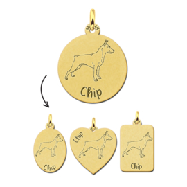 Gouden Dieren Hanger Hond Dwergpinscher + Naam Graveren