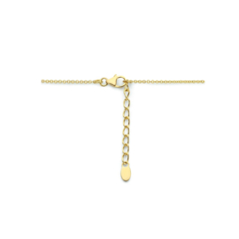 Zilver Verguld Collier met Ronde Hanger